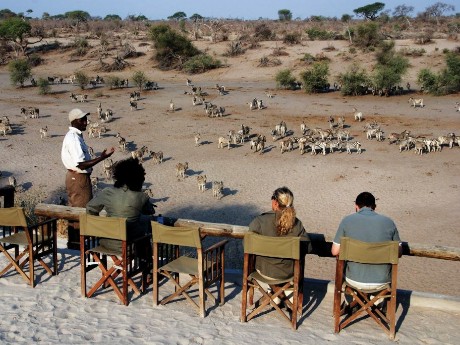 Leroo La Tau_Botswana_Water hole 7©Sense