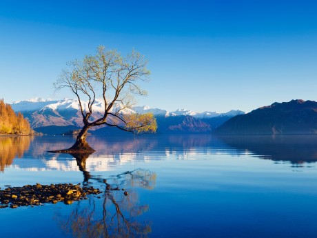 Neuseeland_Südinsel_Lake Wanaka_Landscha