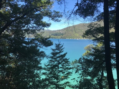 Malborough Sounds, Ferry, New Zealand