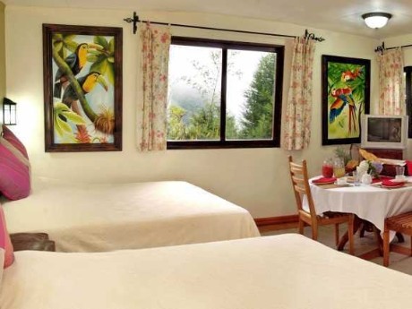 Guayabo Lodge - Twinbed Room