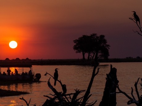 Wilder Chobe Nationalpark