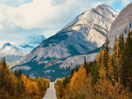Road in Jasper, Canada
