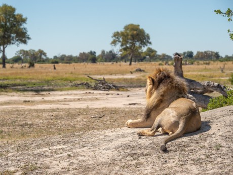 Sunway Zimbabwe Hwange NP Bruce Taylor-0