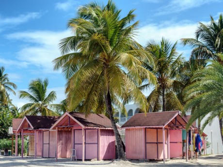 Pink huts on the beach among palm trees 