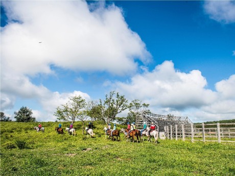 Hacienda Guachipelin Horseback Riding