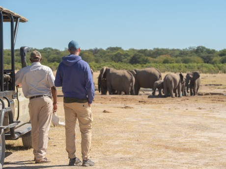 Sunway Zimbabwe Hwange NP Bruce Taylor-0