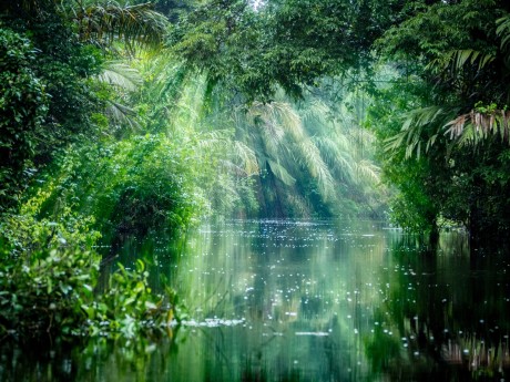 Tortuguero National Park