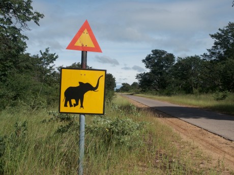 Sunway Zimbabwe Hwange Elephant sign (Br