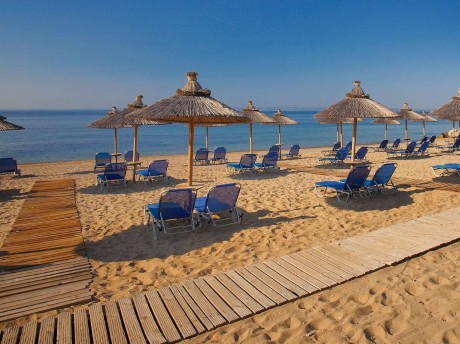 Strand Blue Dolphin
