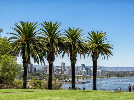 Australien_Wa_Perth_Kings Park 