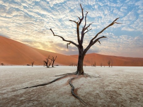 Dead Vlei, Sossusvlei