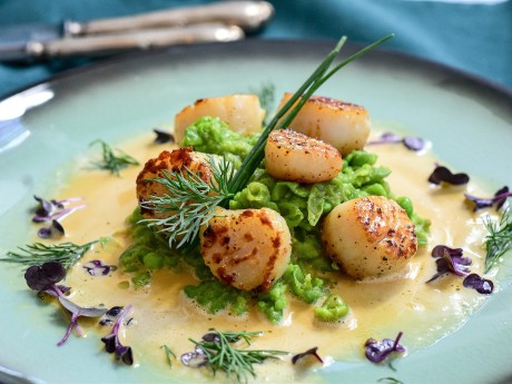 Scallops