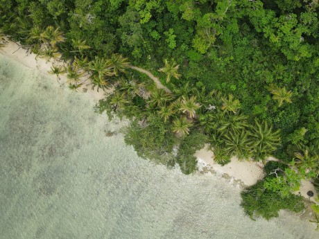 Cahuita Nationalpark Strand