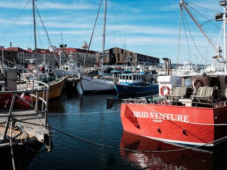 Sullivans Cove, Hobart