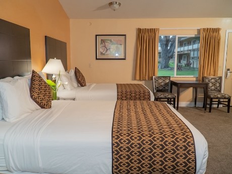 Silver Surf Motel San Simeon - Twinbed R