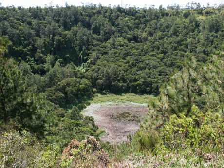 Wild South West_Mauritius_XMUMUSHLN4_131