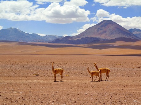 Atacama Desert
