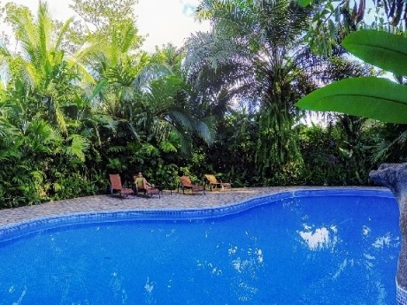 Maquenque Eco Lodge - Pool