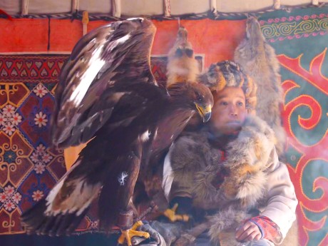 Mongolei Eagle Hunter 