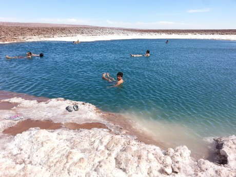 Lagoon in Atacama