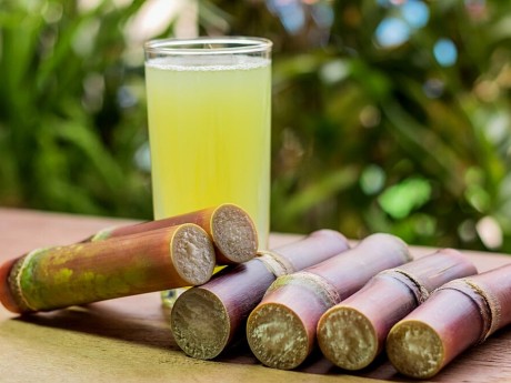 Sugarcane