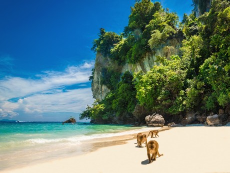 Monkey Beach - Ko Phi Phi - Thailand