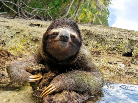 Costa Rica - Cahuita National Park