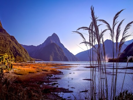 Neuseeland_Südinsel_Milford Sound_Lands