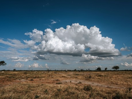 Africa_Experiences_ Botswana_Savuti (1)