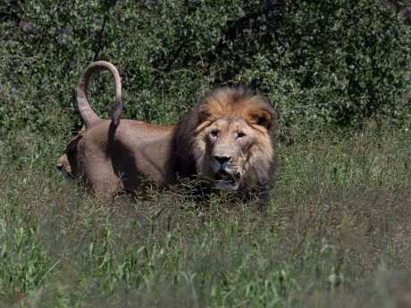 Na'an ku se Lodge_Namibia