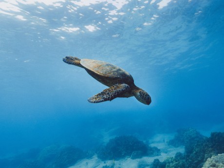 Nature in Galapagos