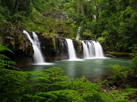 Australien_Ql_Wasserfall tropical North