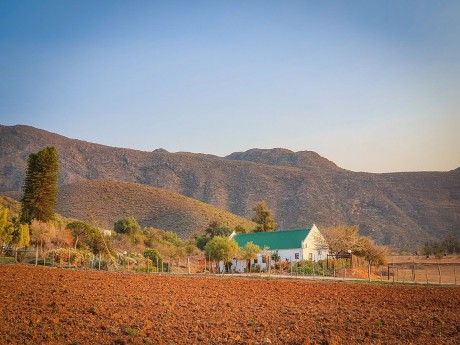 Berluda Farmhouse, Oudtshoorn
