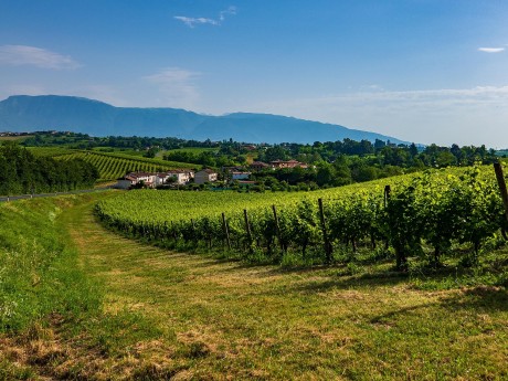 Veneto Prosecco