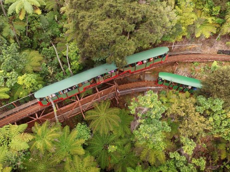 Driving Creek Railway_Neuseeland_Double-