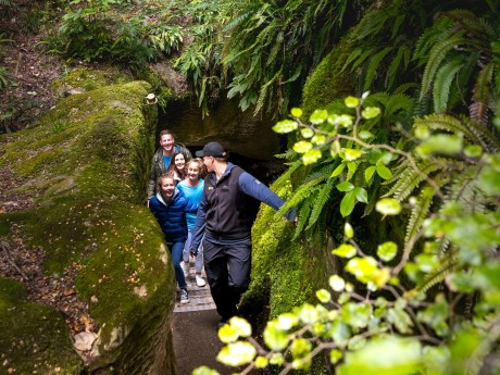 RealNZ_Neuseeland_Te Anau Glowworm Caves