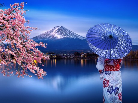 Fuji Hakone Izu Nationalpark Kimono