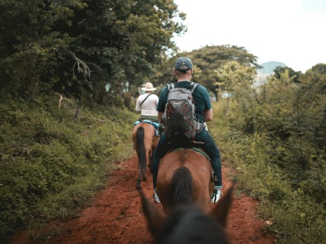 Horseback Trek