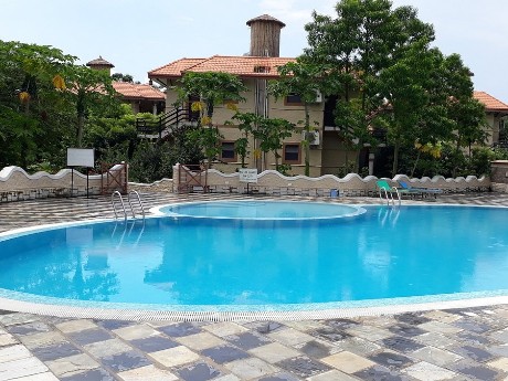 Green Park Chitwan - Pool