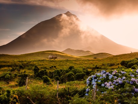 Azoren Insel Pico Mount Pico