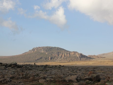 Bale Mountains