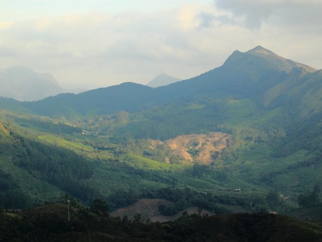 Eravikulam National Park