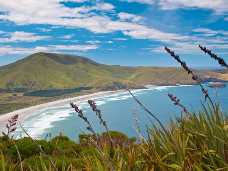 Neuseeland_Südinsel_Otago Peninsula