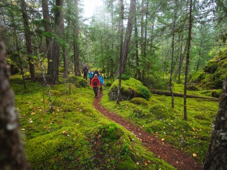 Tweedsmuir Park Lodge Nature Walk