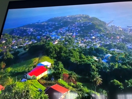 CIty  of Kingstown from Dorsetshire Hill