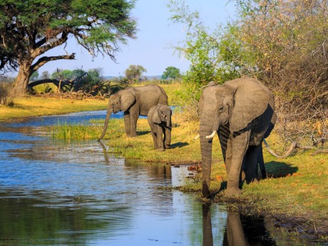 Namibia_Zambezi Region_Kwando Fluss