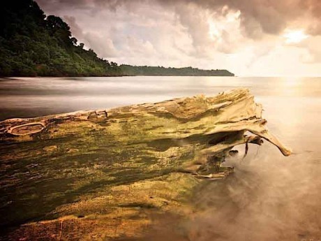 SUNSET DRAKE - PIRATE COVE