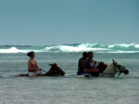 Ride and Swim