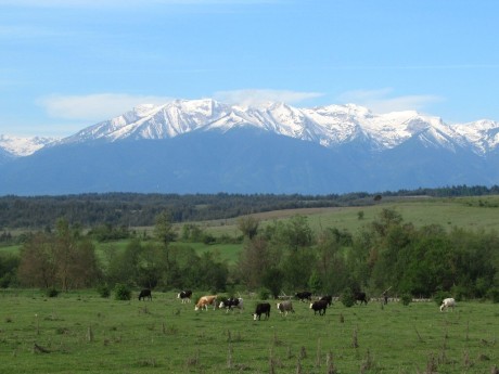 Pirin Mountains