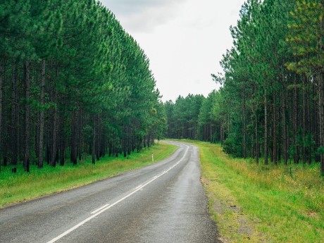 Road in Sunshine Coast
